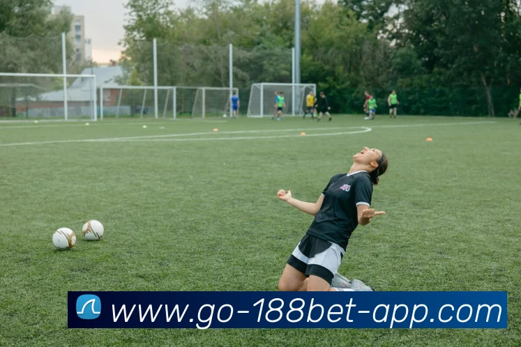 App Interface Preview